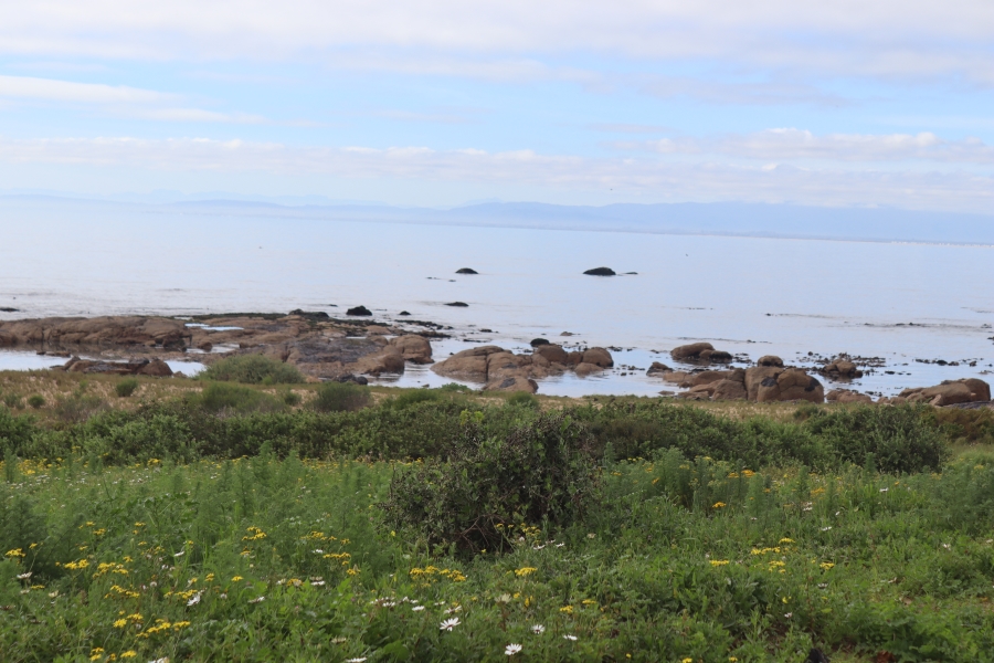 0 Bedroom Property for Sale in Steenbergs Cove Western Cape
